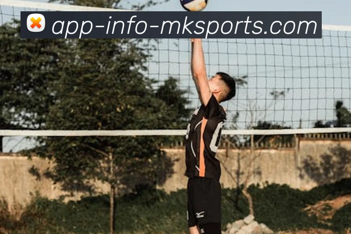 App Interface Preview