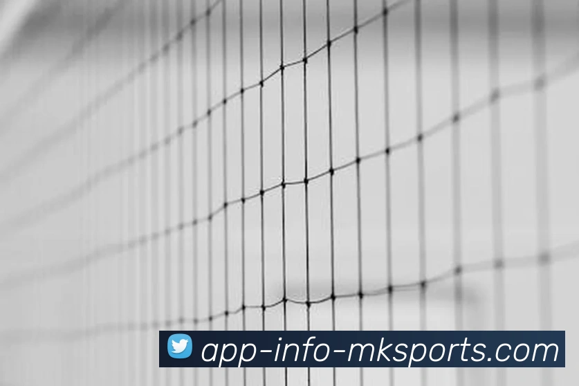 MK体育APPAPP 封面图